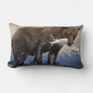 Braunbär, Grizzlybär, mit Lachsfang, Lendenkissen