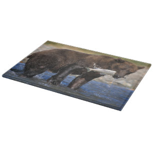 Braunbär, Grizzlybär, mit Lachsfang, Schneidebrett