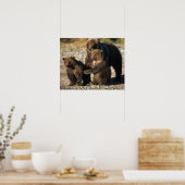 Braunbär, Grizzlybär, Sau mit Jungen an der Küste Poster (Küche)