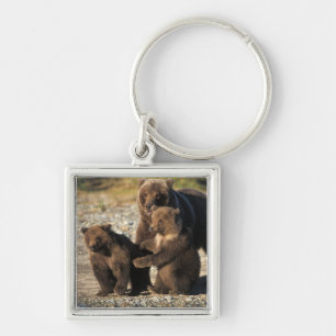 Braunbär, Grizzlybär, Sau mit Jungen an der Küste Schlüsselanhänger