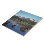 Braunbär, Grizzlybär, Sauen und Naben in Fliese (Seite)