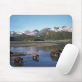 Braunbär, Grizzlybär, Sauen und Naben in Mousepad (Mit Mouse)