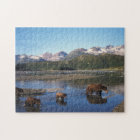 Braunbär, Grizzlybär, Sauen und Naben in