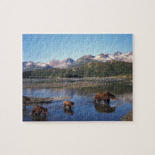 Braunbär, Grizzlybär, Sauen und Naben in Puzzle (Horizontal)