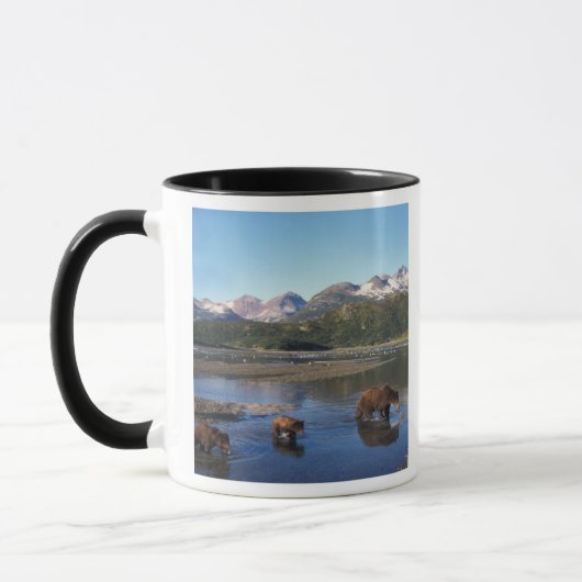 Braunbär, Grizzlybär, Sauen und Naben in Tasse (Links)
