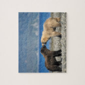 Braunbär, Grizzlybär, Spielen am Strand, Puzzle (Vertikal)