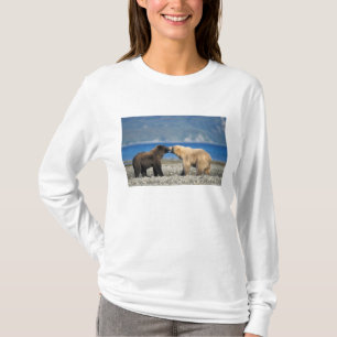 Braunbär, Grizzlybär, spielen am Strand, T-Shirt