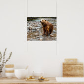 Braunbär im Bach Poster (Küche)