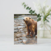 Braunbär im Bach Postkarte (Stehend Vorderseite)