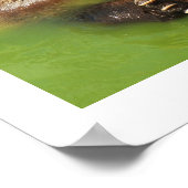 Braunbär im Wasser Poster (Ecke)