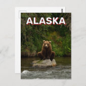 Braunbär in Alaska Postkarte (Vorne/Hinten)