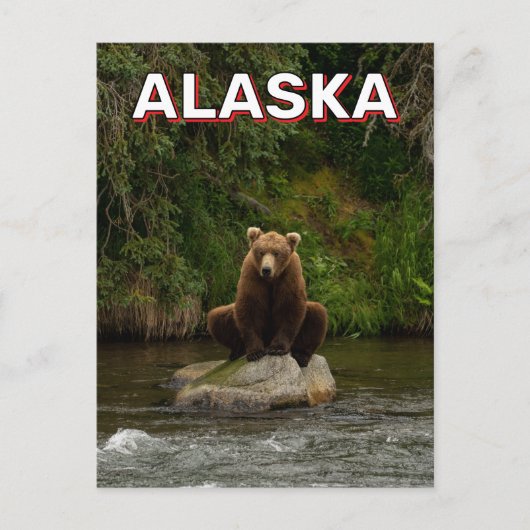 Braunbär in Alaska Postkarte (Vorderseite)