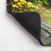 Braunbär & Jungtier | Hyder, Alaska Mousepad (Ecke)