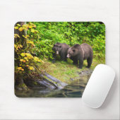 Braunbär & Jungtier | Hyder, Alaska Mousepad (Mit Mouse)