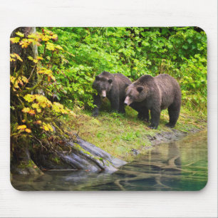 Braunbär & Jungtier Hyder, Alaska Mousepad