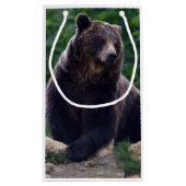 Braunbär Kleine Geschenktüte (Rückseite)