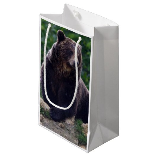 Braunbär Kleine Geschenktüte (Vorderseite Schrägansicht)