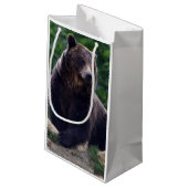 Braunbär Kleine Geschenktüte (Rückseite Schrägansicht)