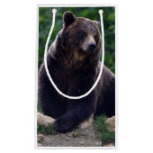 Braunbär Kleine Geschenktüte (Vorderseite)