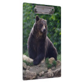 Braunbär Klemmbrett (Rechts)
