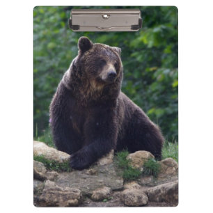 Braunbär Klemmbrett