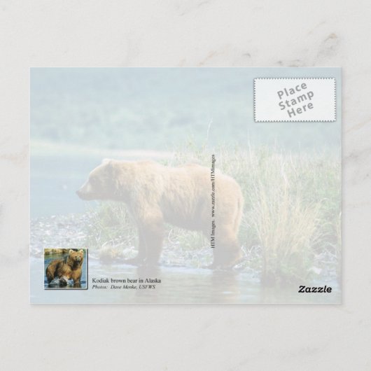 Braunbär Kodiak, Alaska Postkarte (Rückseite)