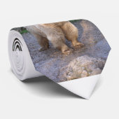 Braunbär Krawatte (Gerollt)