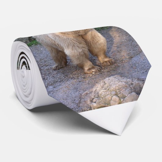 Braunbär Krawatte (Gerollt)