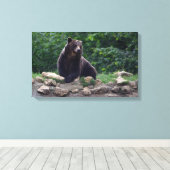 Braunbär Leinwanddruck (Insitu (Holzboden))