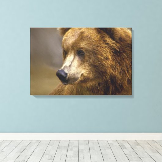 Braunbär Leinwanddruck (Insitu (Holzboden))