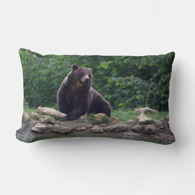 Braunbär Lendenkissen (Vorderseite)