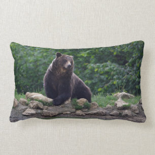 Braunbär Lendenkissen