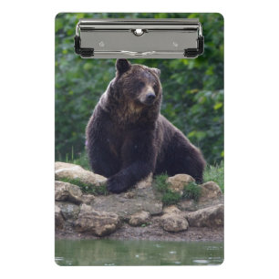 Braunbär Mini Klemmbrett