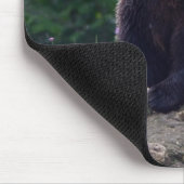 Braunbär Mousepad (Ecke)