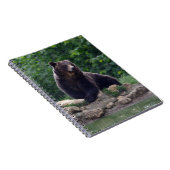 Braunbär Notizblock (Rechte Seite)