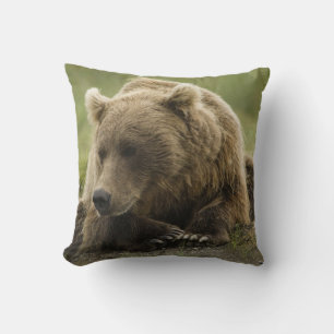 Braunbär, oder Küsten-Grizzlybär, Ursus Kissen