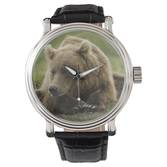 Braunbär oder Küstenbär, Ursus Armbanduhr (Vorderseite)