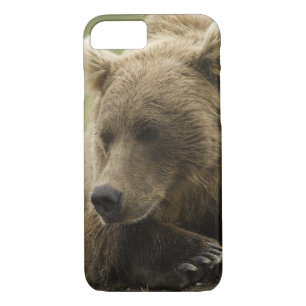 Braunbär oder Küstenbär, Ursus Case-Mate iPhone Hülle