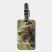 Braunbär oder Küstenbär, Ursus Gepäckanhänger (Vorderseite vertikal)