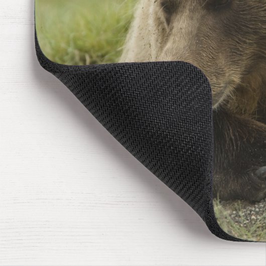 Braunbär oder Küstenbär, Ursus Mousepad (Ecke)