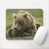 Braunbär oder Küstenbär, Ursus Mousepad (Mit Mouse)