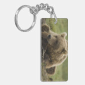 Braunbär oder Küstenbär, Ursus Schlüsselanhänger (Vorderseite links)