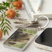 Braunbär oder Küstenbär, Ursus Schlüsselanhänger (Vorderseite rechts)