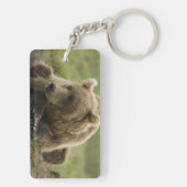 Braunbär oder Küstenbär, Ursus Schlüsselanhänger (Rückseite)