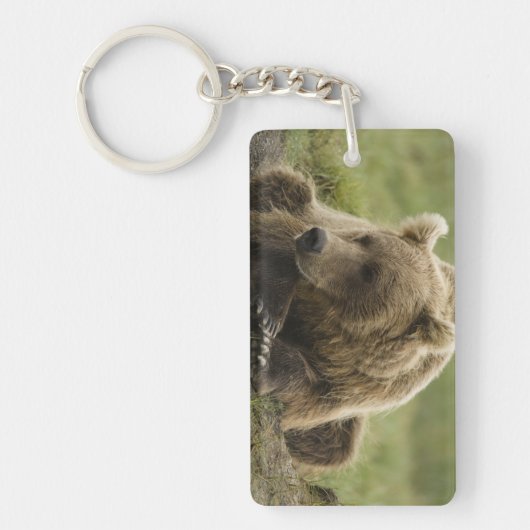 Braunbär oder Küstenbär, Ursus Schlüsselanhänger (Vorderseite)