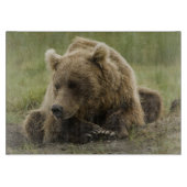 Braunbär oder Küstenbär, Ursus Schneidebrett (Vorderseite)