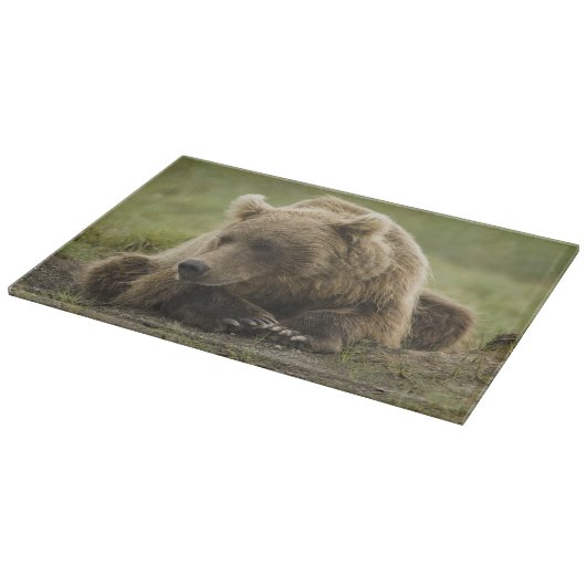 Braunbär oder Küstenbär, Ursus Schneidebrett (Ecke)