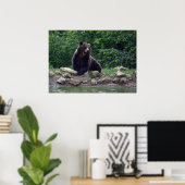 Braunbär Poster (Heimbüro)