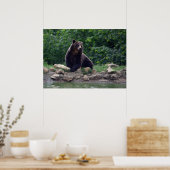 Braunbär Poster (Küche)