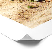 Braunbär Poster (Ecke)